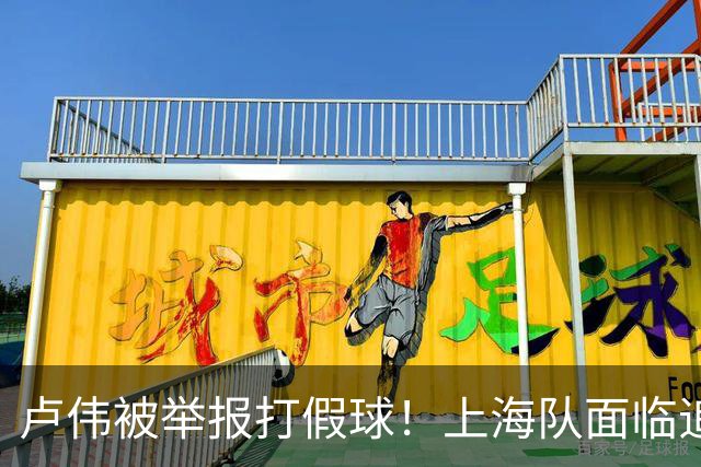 卢伟被举报打假球！上海队面临追罚，张镇麟坑惨球队